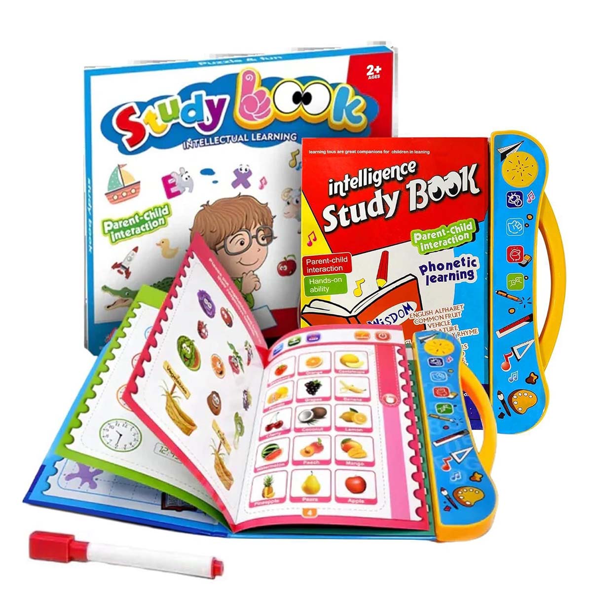 STUDY BOOK