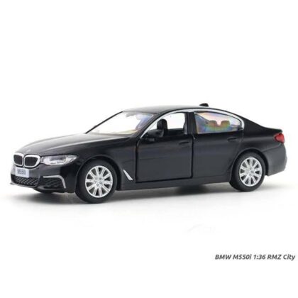 BMW M55OI