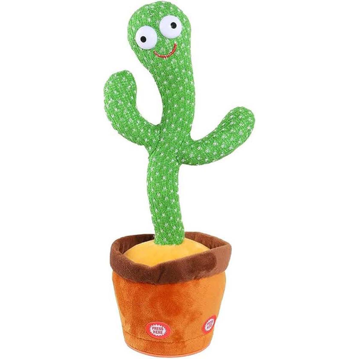 DANCING CATCUS