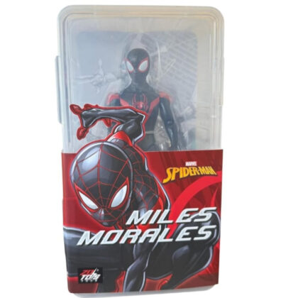 SPIDER MAN